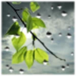 Logo of Rain Wallpaper android Application 